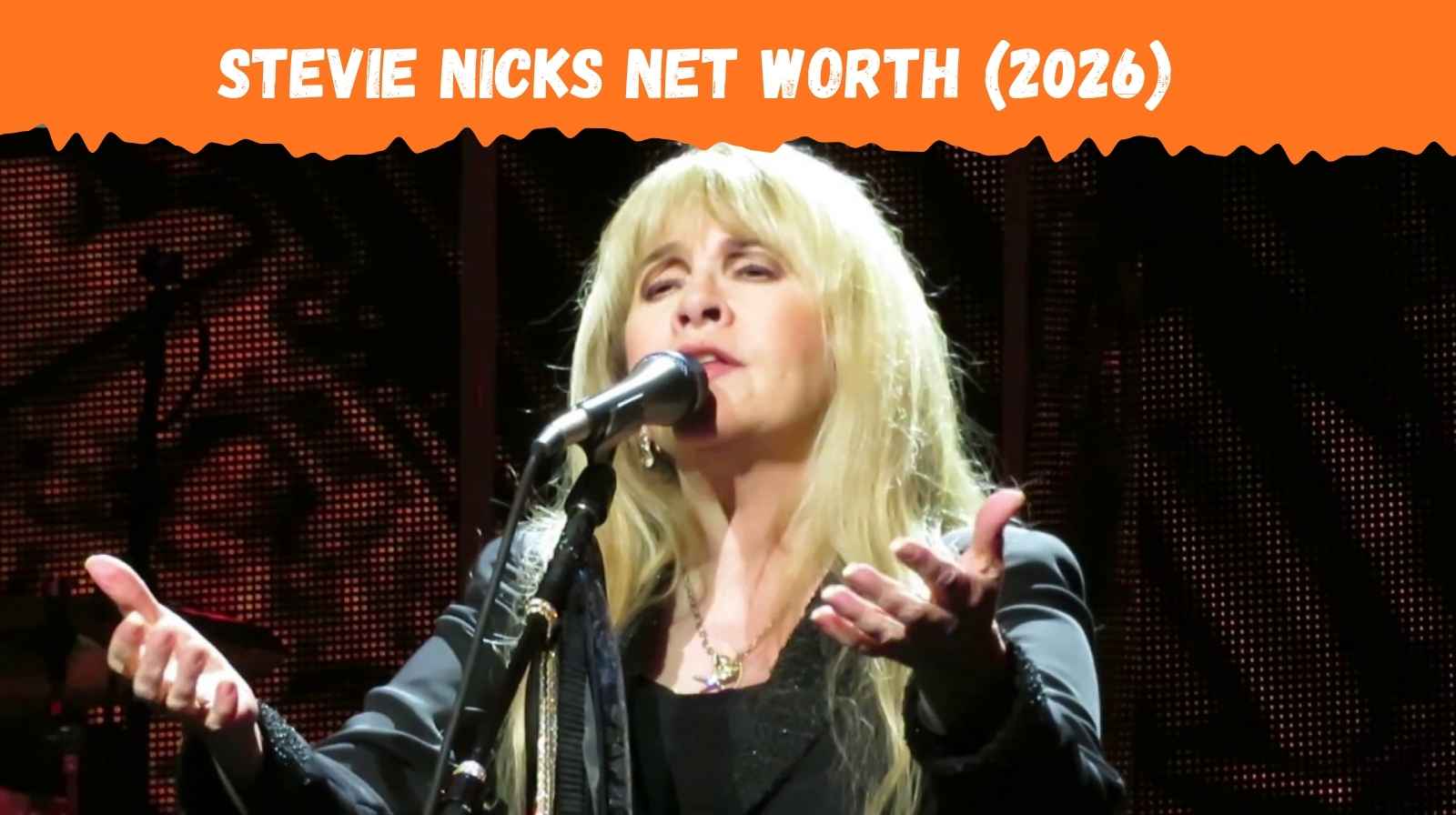 stevie-nicks-net-worth